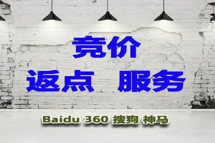 某公司通过百度竞价实现业务快速增长的案例
