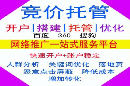 行业案例研究：SEM竞价托管的策略与挑战
